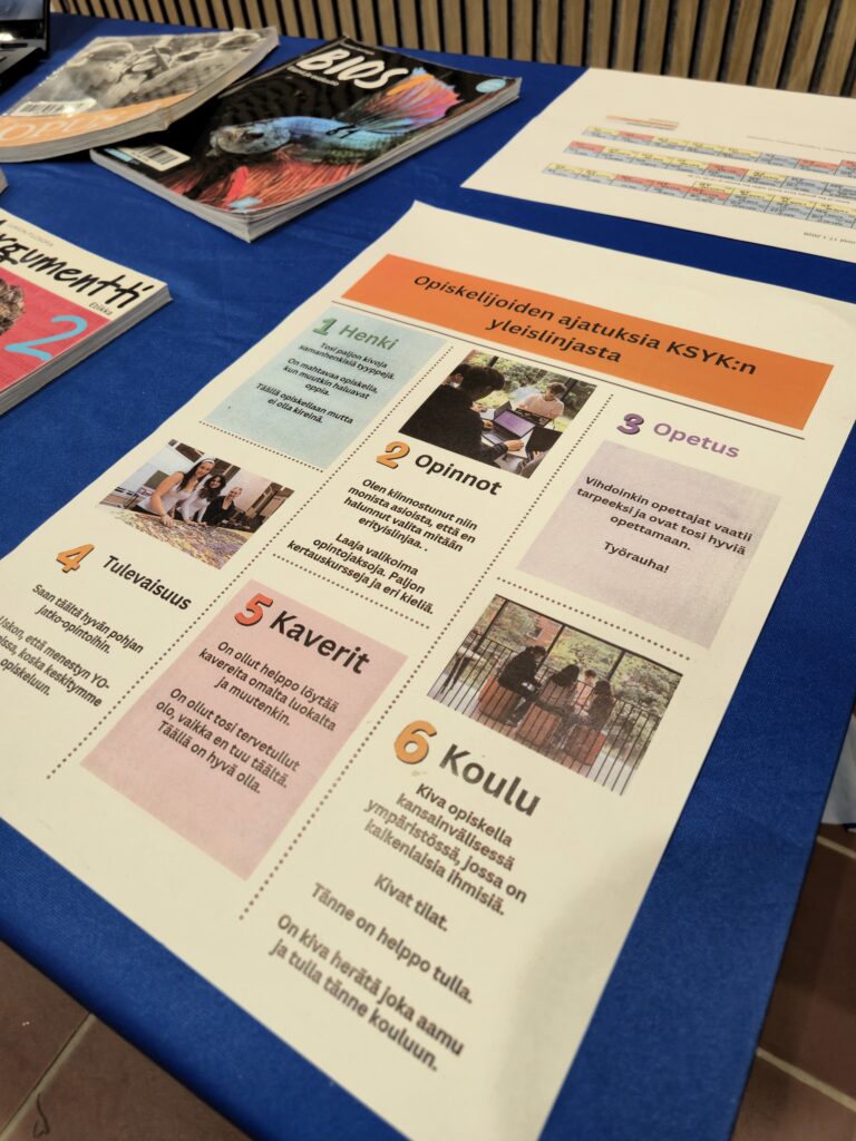 Yleislinjasta sanottua.