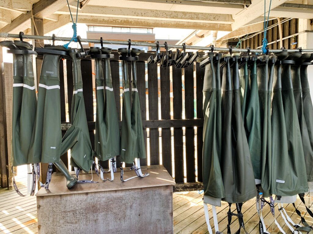 Environmental Research Tvärminnen eläintieteellisellä tutkimusasemalla