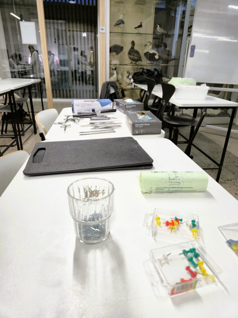 Preparointivälineitä.