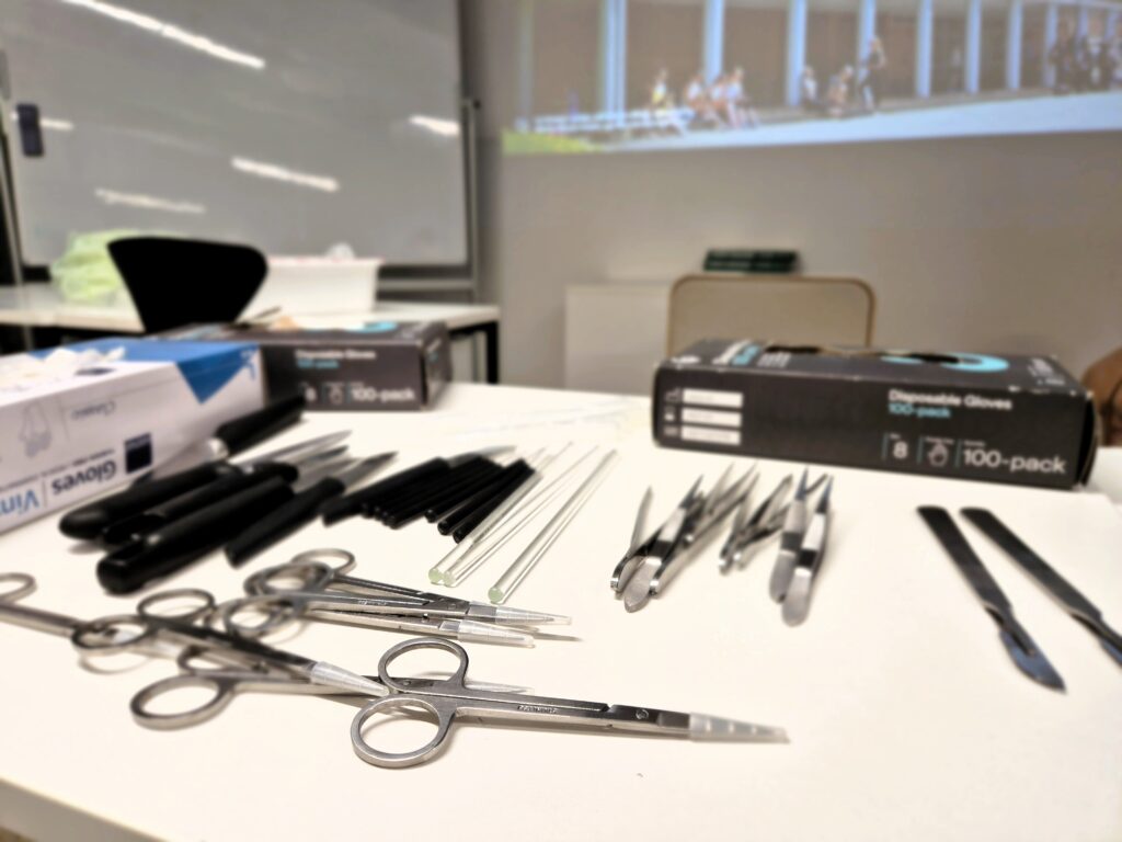 Preparointivälineitä.