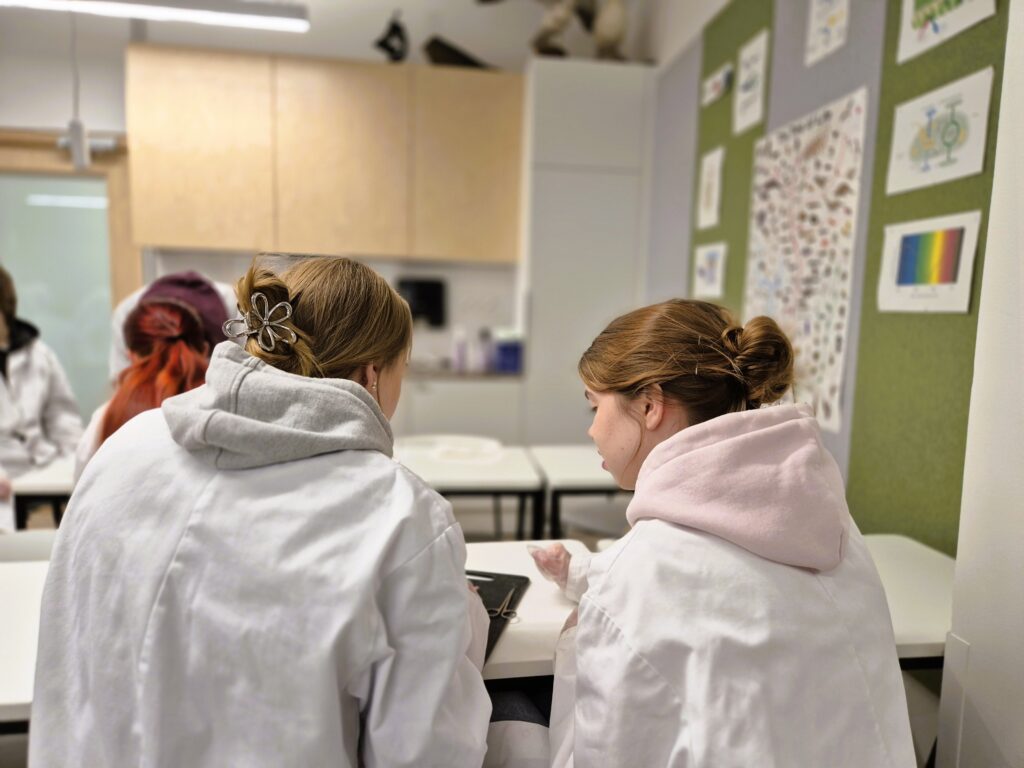 Opiskelijat keskittyvät rottien preparointiin. 