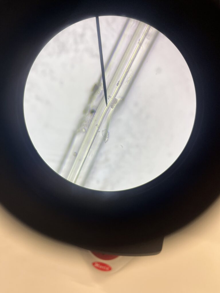 Usean viikon uurastus on tullut päätökseensä. Todistajien kuulemiset ja laboratorioanalyysit on tehty. Olemme tutkineet verijälkiä, myrkkyjäämiä, kuituja ja viruksia. Huipentumana vierailimme ke 11.3. Aalto-yliopistossa analysoimassa rikospaikan DNA-näytteitä. Nyt on rikostutkijoiden aika koota näyttö ja antaa lopullinen ratkaisunsa tapaukseen.