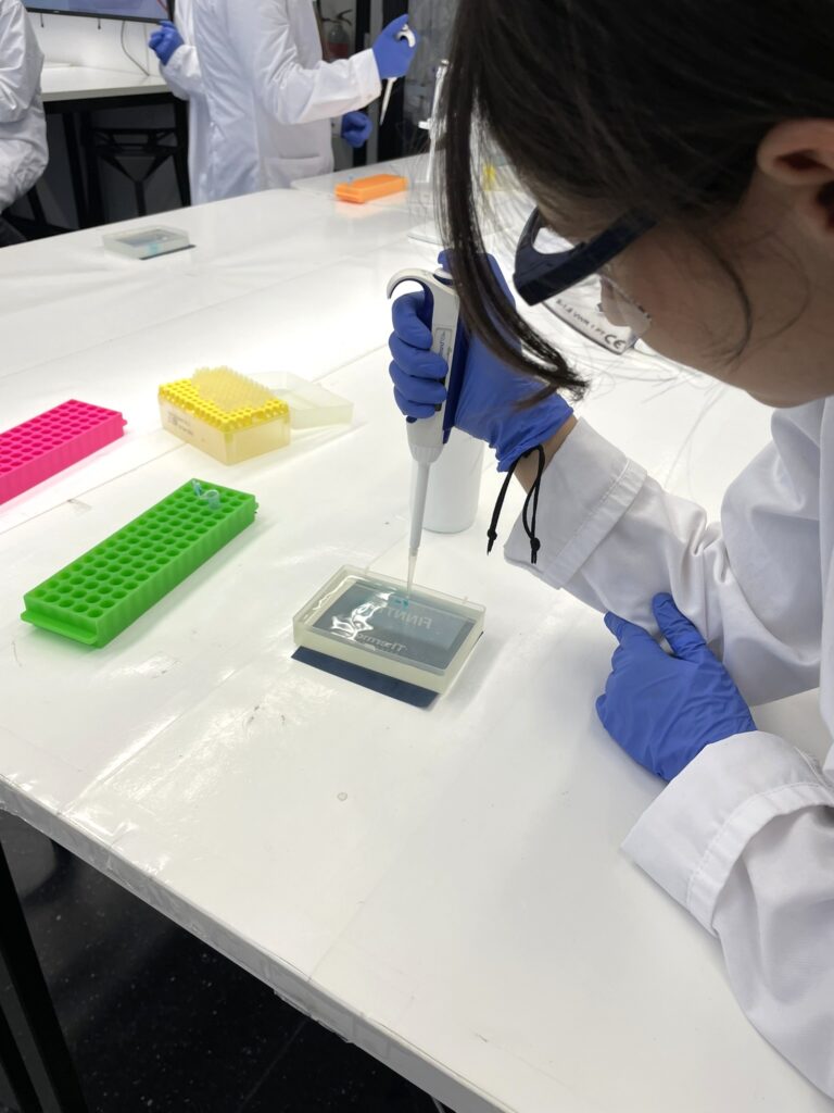 Usean viikon uurastus on tullut päätökseensä. Todistajien kuulemiset ja laboratorioanalyysit on tehty. Olemme tutkineet verijälkiä, myrkkyjäämiä, kuituja ja viruksia. Huipentumana vierailimme ke 11.3. Aalto-yliopistossa analysoimassa rikospaikan DNA-näytteitä. Nyt on rikostutkijoiden aika koota näyttö ja antaa lopullinen ratkaisunsa tapaukseen.