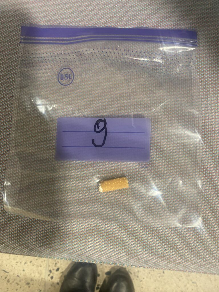 Usean viikon uurastus on tullut päätökseensä. Todistajien kuulemiset ja laboratorioanalyysit on tehty. Olemme tutkineet verijälkiä, myrkkyjäämiä, kuituja ja viruksia. Huipentumana vierailimme ke 11.3. Aalto-yliopistossa analysoimassa rikospaikan DNA-näytteitä. Nyt on rikostutkijoiden aika koota näyttö ja antaa lopullinen ratkaisunsa tapaukseen.