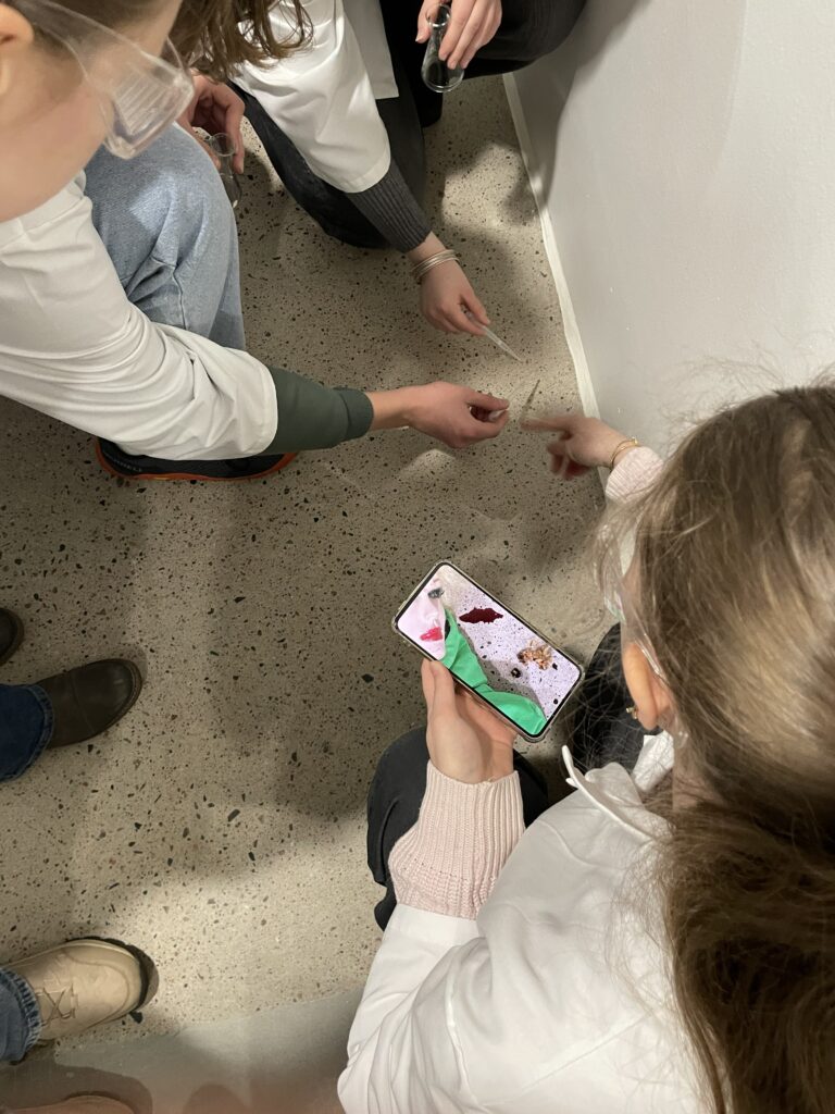 Usean viikon uurastus on tullut päätökseensä. Todistajien kuulemiset ja laboratorioanalyysit on tehty. Olemme tutkineet verijälkiä, myrkkyjäämiä, kuituja ja viruksia. Huipentumana vierailimme ke 11.3. Aalto-yliopistossa analysoimassa rikospaikan DNA-näytteitä. Nyt on rikostutkijoiden aika koota näyttö ja antaa lopullinen ratkaisunsa tapaukseen.