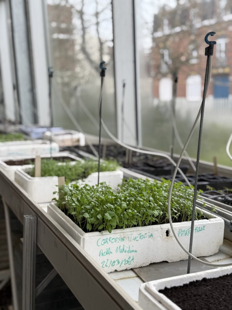 Gardening in Collège Public Marie Curie Tourcoing. 

One of the specialised programmes in the school includes gardening. The students work in a greenhouse where they plant and nurture seeds into thriving plants. This work had a calming effect, teaches practical skills and helps the students focus on the rest of their school day.