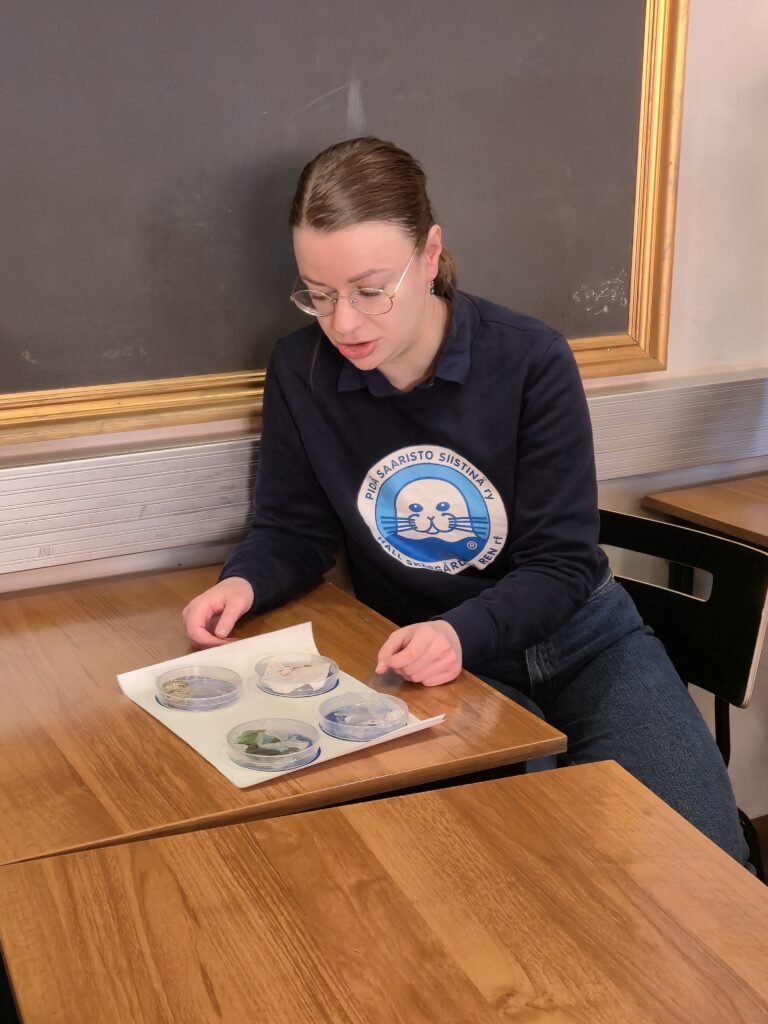 Pidä Saaristo Siistinä ry  