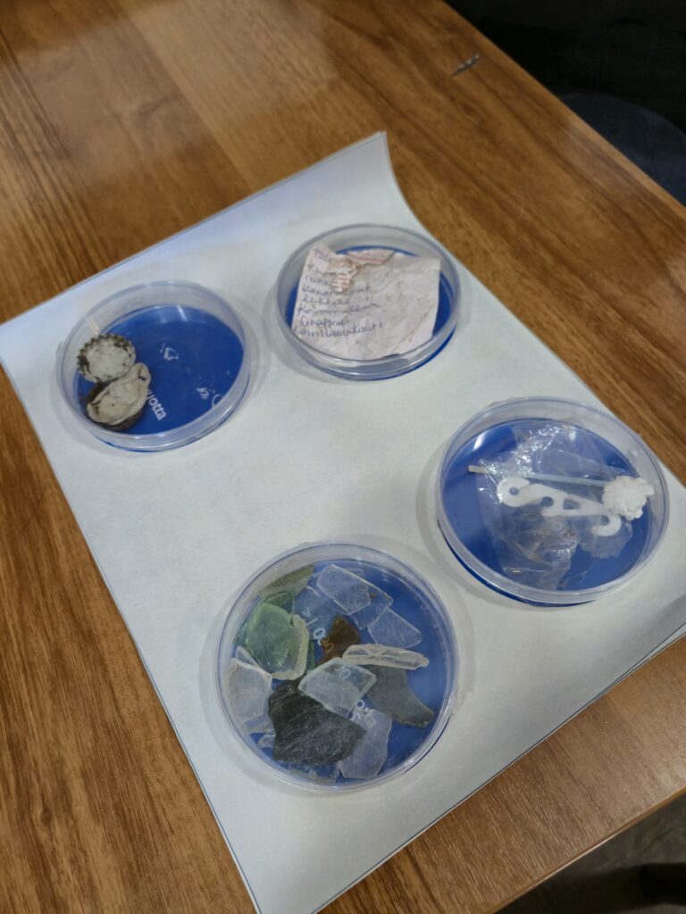 Pidä Saaristo Siistinä ry  